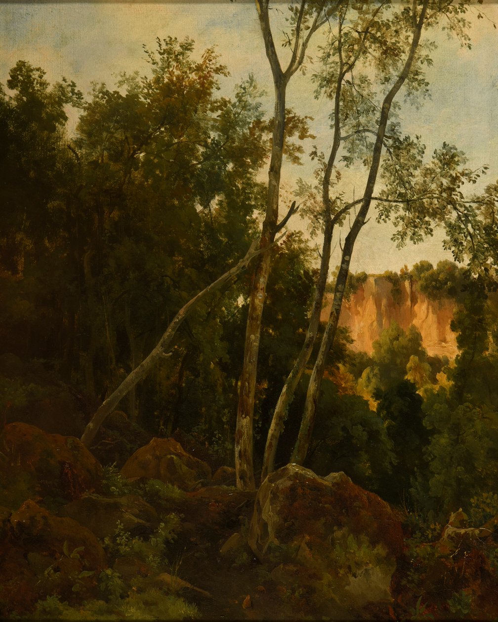 Bosque con rocas de Jacques Raymond Brascassat