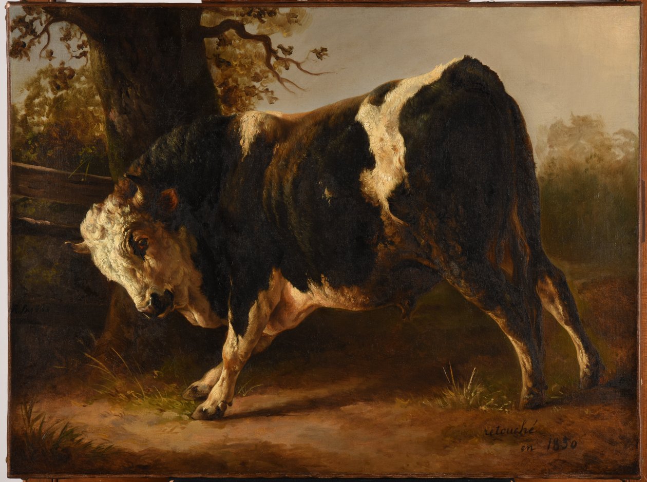 Toro iracundo de Jacques Raymond Brascassat