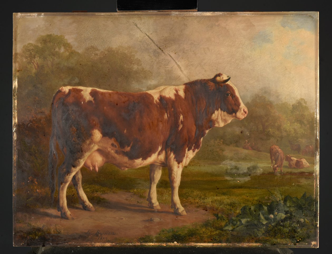 Vaca blanca y roja de Jacques Raymond Brascassat