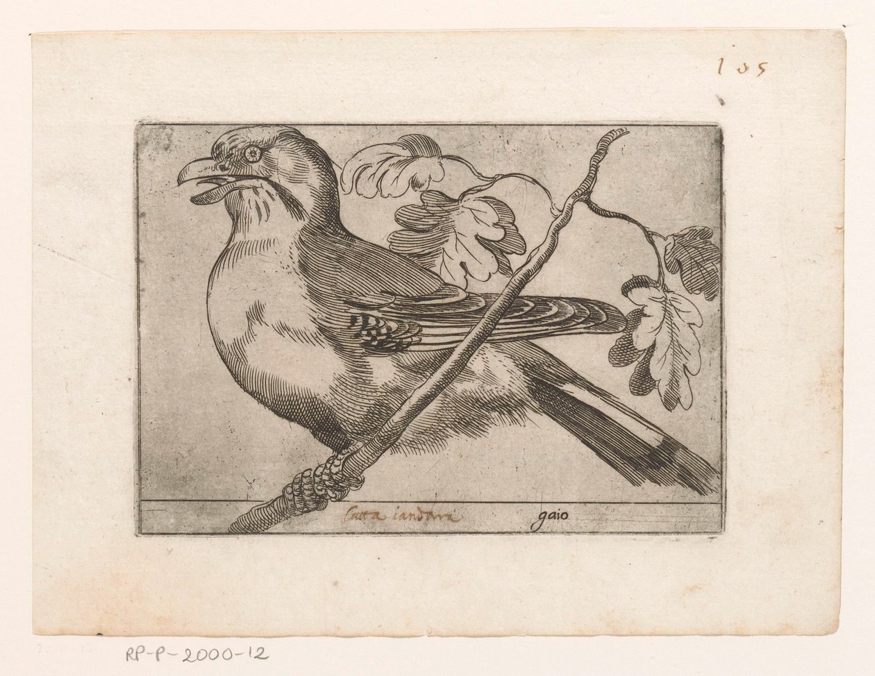 Gaai Gaio (título sobre objeto) Vogels (título de la serie) de Jacques de Fornazeris (possibly)