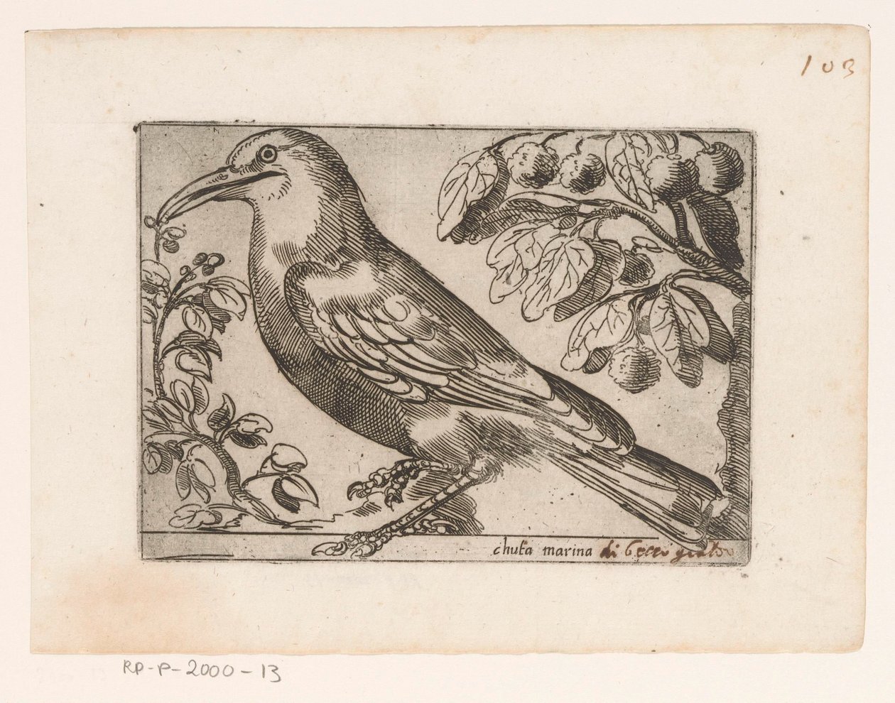 Vogel Chuta marina (título sobre objeto) Vogels (título de la serie) de Jacques de Fornazeris (possibly)
