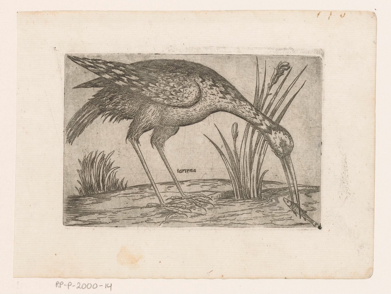 Vogel Tartena (título sobre objeto) Vogels (título de la serie) de Jacques de Fornazeris (possibly)