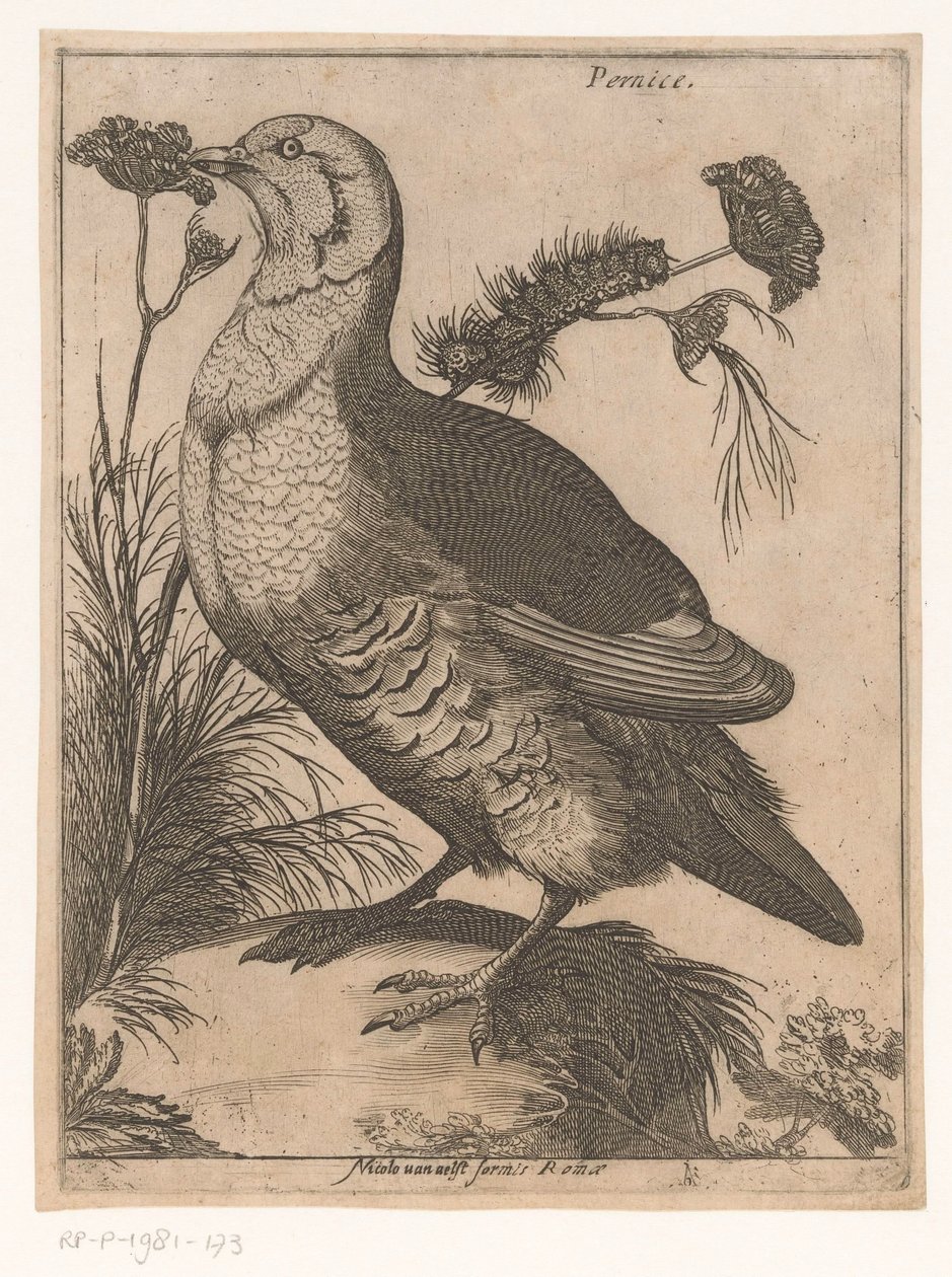 Perdiz Pernice (título sobre el objeto) Nine Birds (título de la serie) de Jacques de Fornazeris