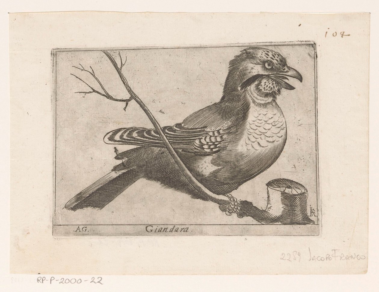 Arrendajo (Garrulus glandarius) Giandara (título sobre objeto) Pájaros (título de la serie) de Jacques de Fornazeris