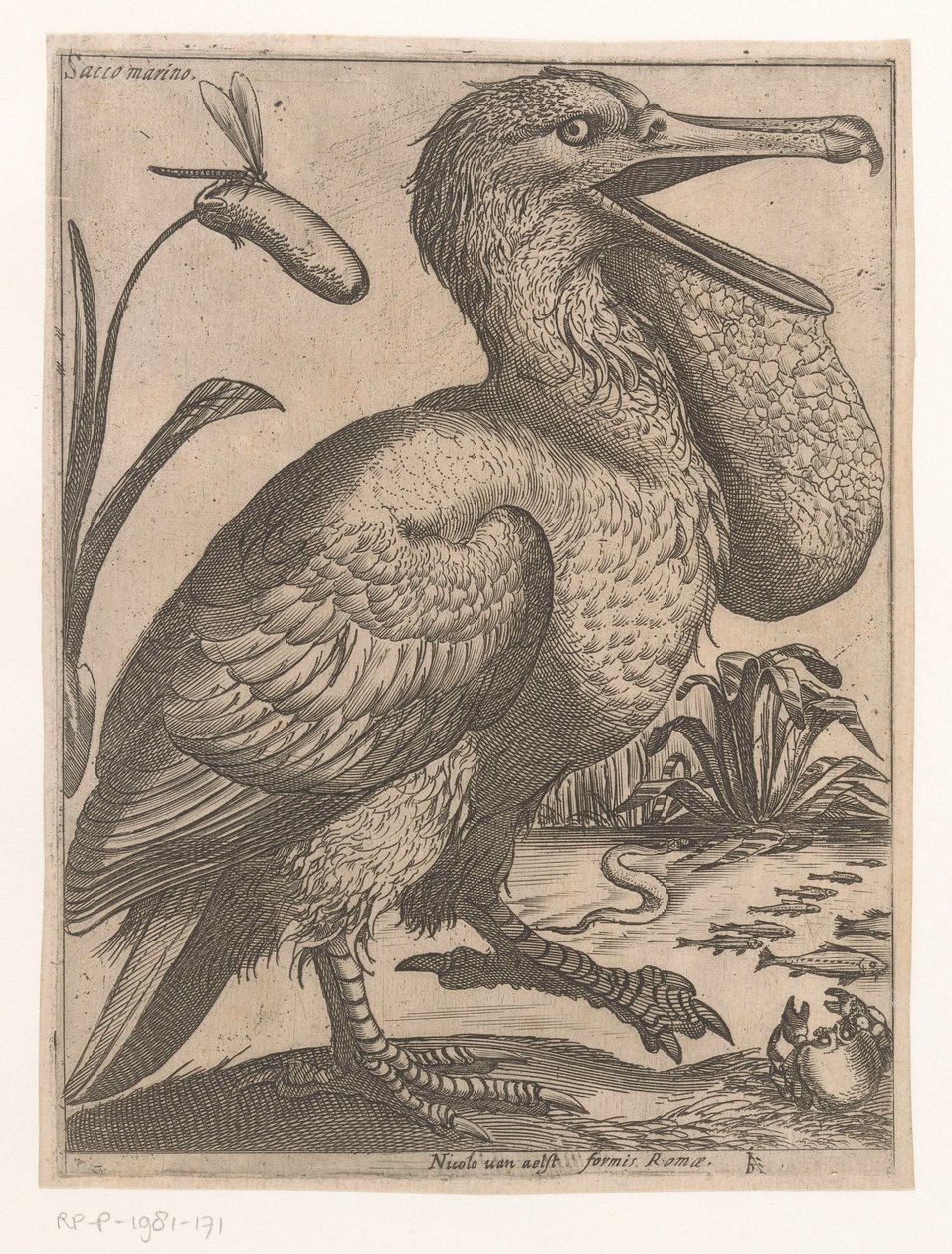 AVE acuática Sacco Marino (título sobre objeto) Nine Birds (título de la serie) de Jacques de Fornazeris