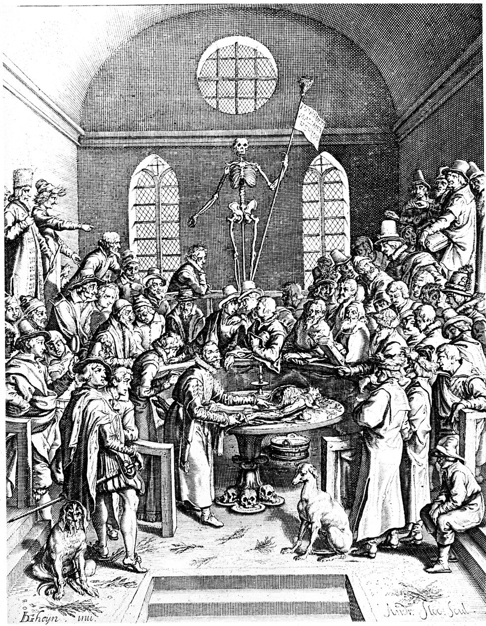 Teatro de anatomía de finales del siglo XVI, Jacques de Gehyn el Viejo, 1633 de Jacques de Gehyn the Elder