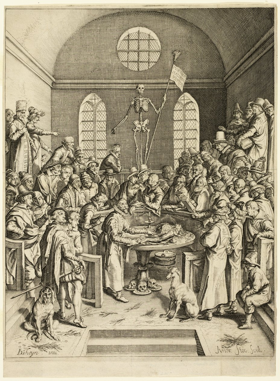 La lección anatómica del profesor Pauw de Jacques de Gheyn II
