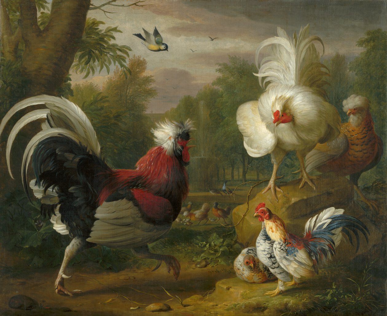 La pelea del gallo de Jakob Bogdani or Bogdany