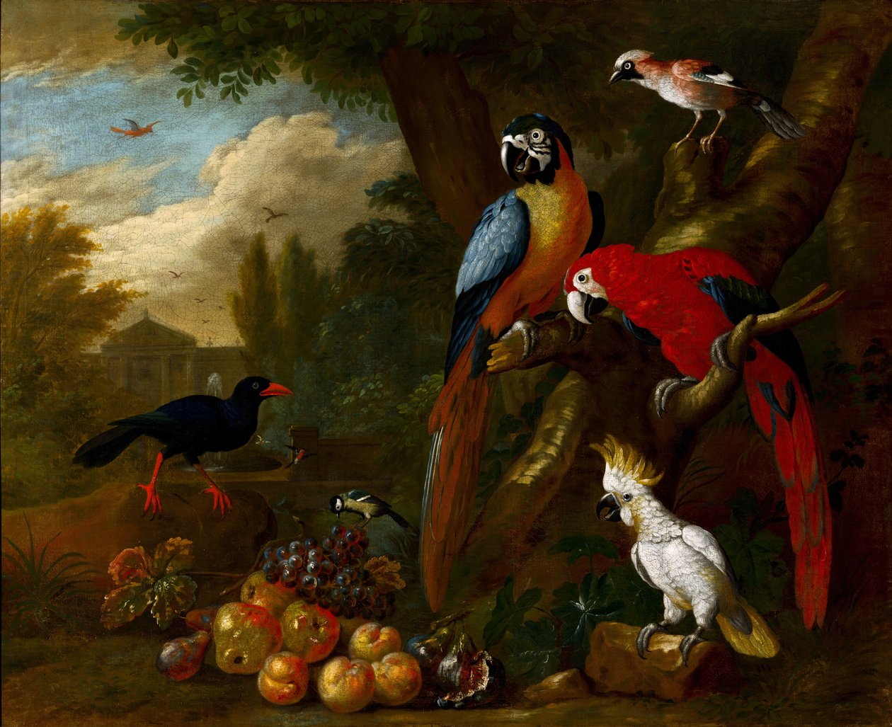 Dos guacamayos, una cacatúa y un arrendajo, con frutas de Jakob Bogdani or Bogdany