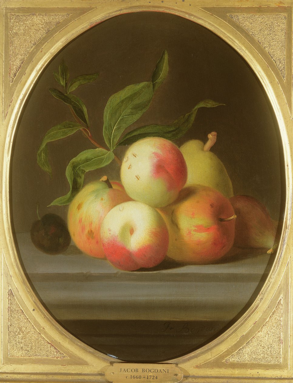 Manzanas en un estante de Jakob Bogdani or Bogdany