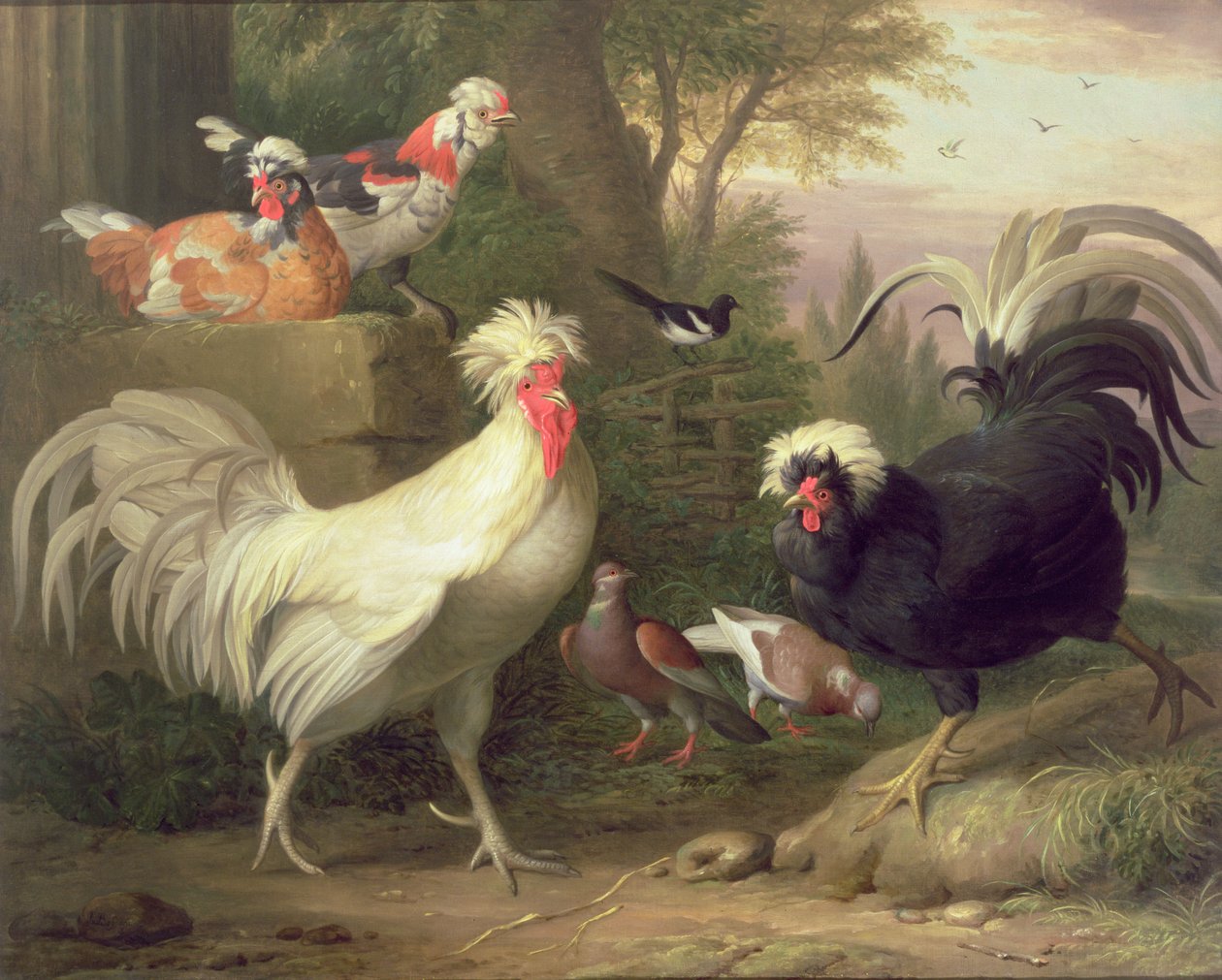 Gallos y palomas de Jakob Bogdani or Bogdany
