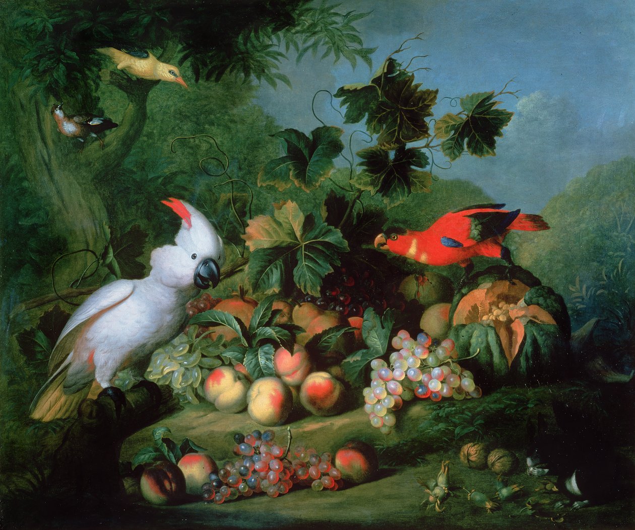 Frutas y pájaros de Jakob Bogdani or Bogdany