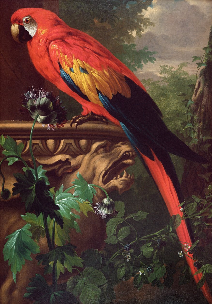 Guacamayo escarlata en un paisaje de Jakob Bogdani or Bogdany