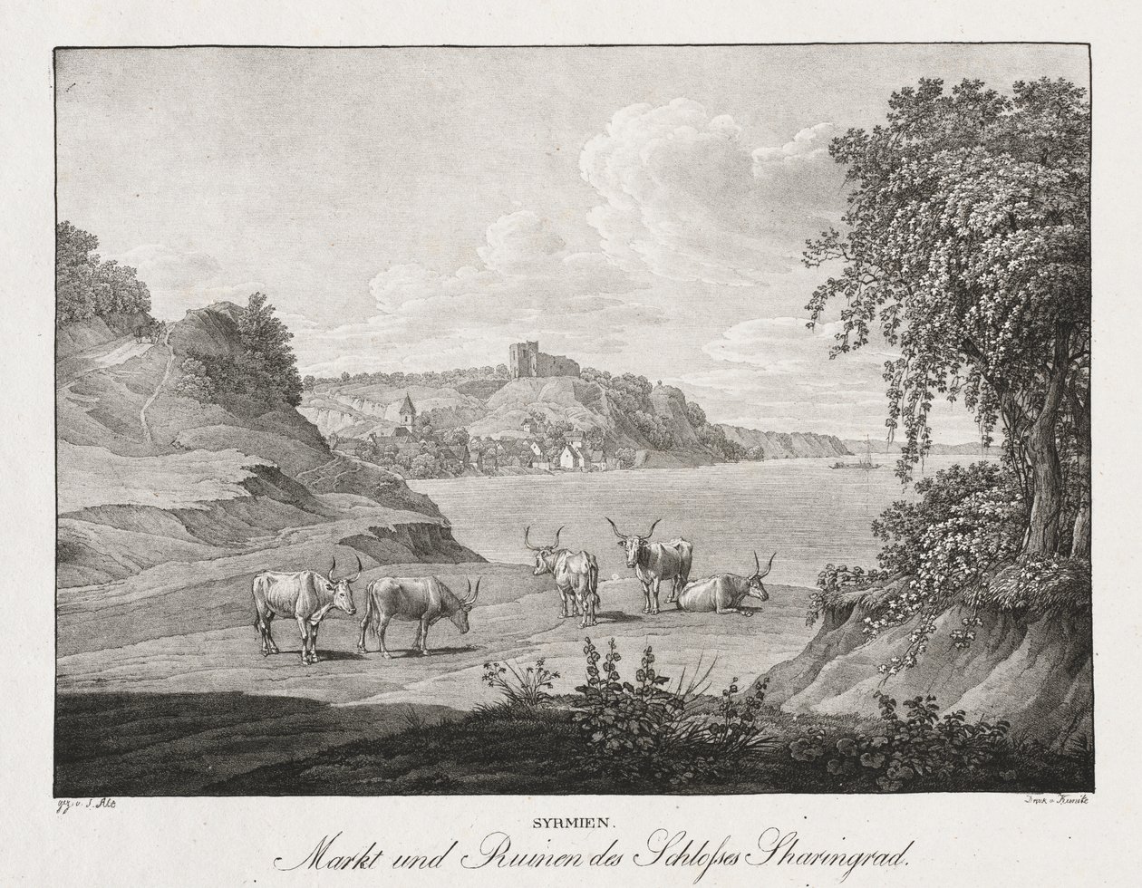 Syrmien, Markt und Ruinen des Schlosses Sharengrad de Jakob Alt