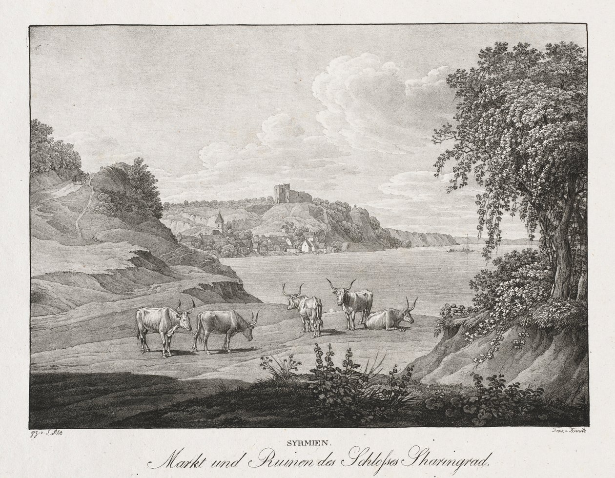 Syrmien, mercado y ruinas del castillo de Sharengrad de Jakob Alt