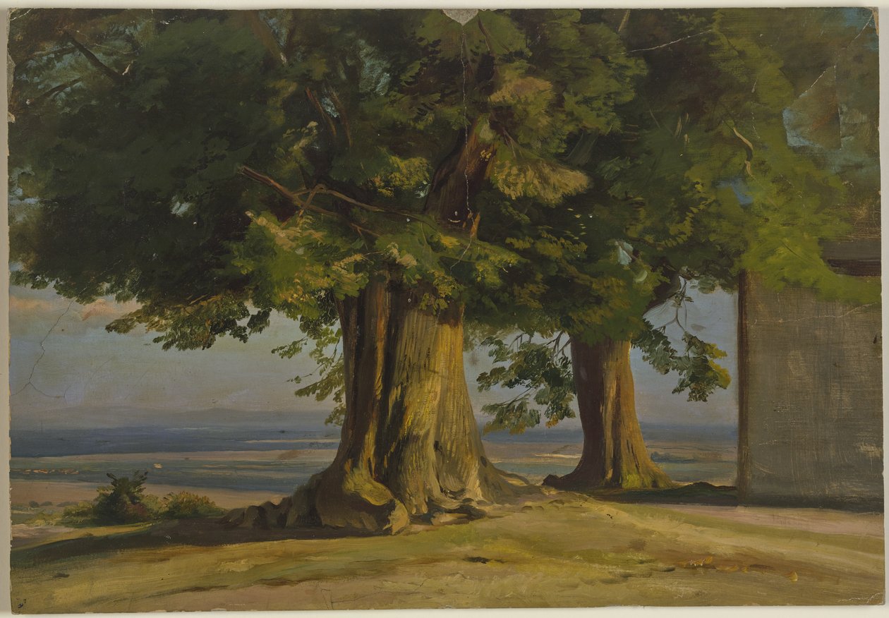 Árboles viejos y vista sobre una amplia llanura de Jakob Becker