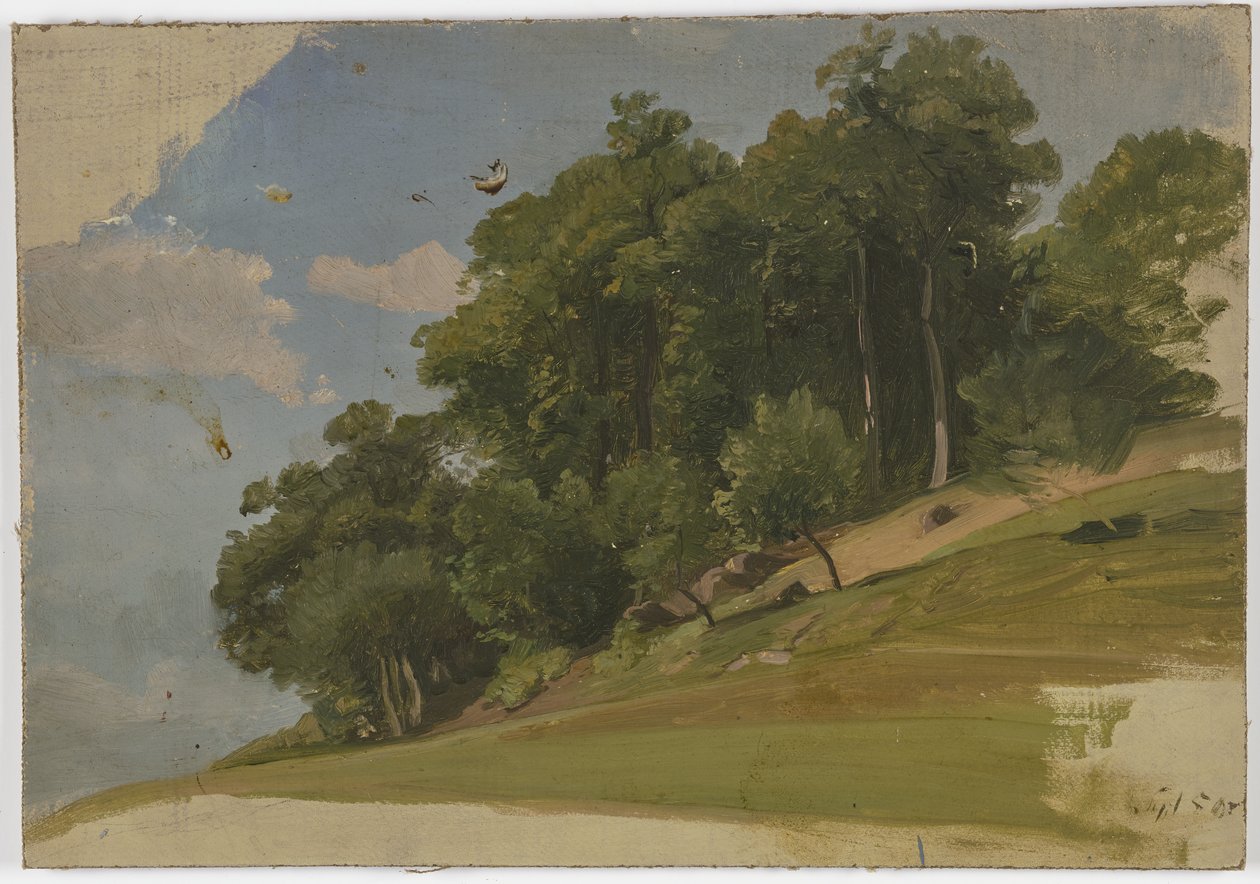 Linde de un bosque de Jakob Becker
