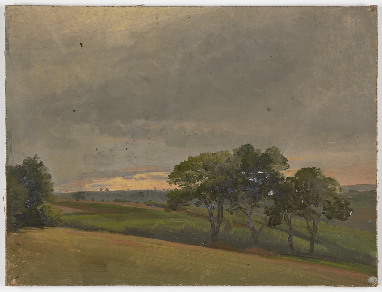 Pradera vespertina con árboles de Jakob Becker