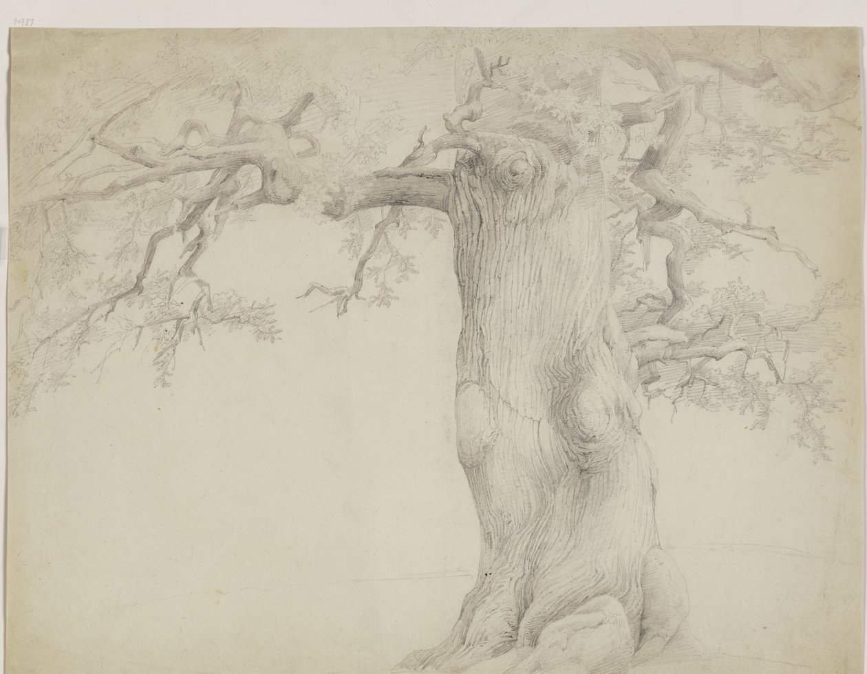 Árbol viejo de Jakob Becker