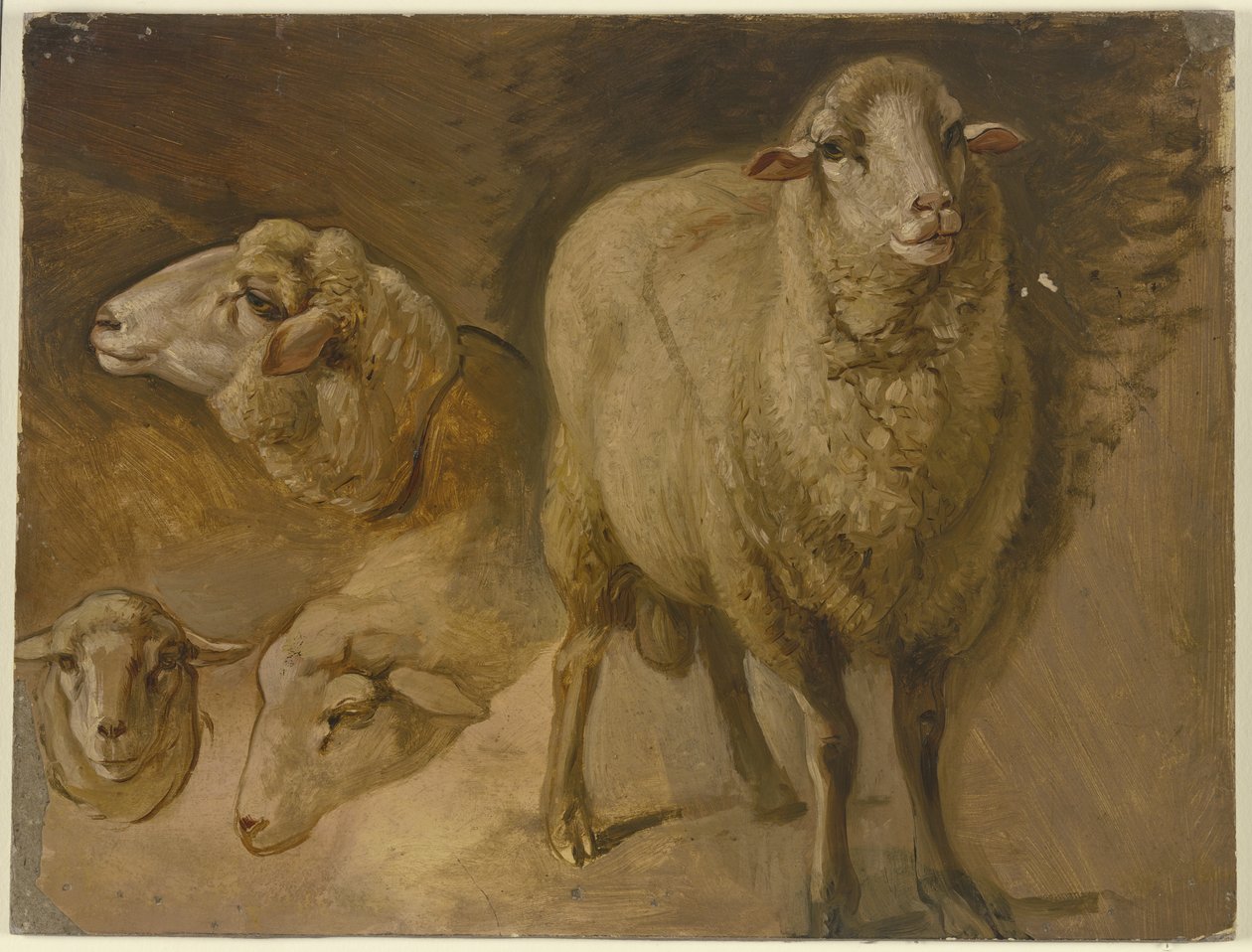 Ovejas de Jakob Becker