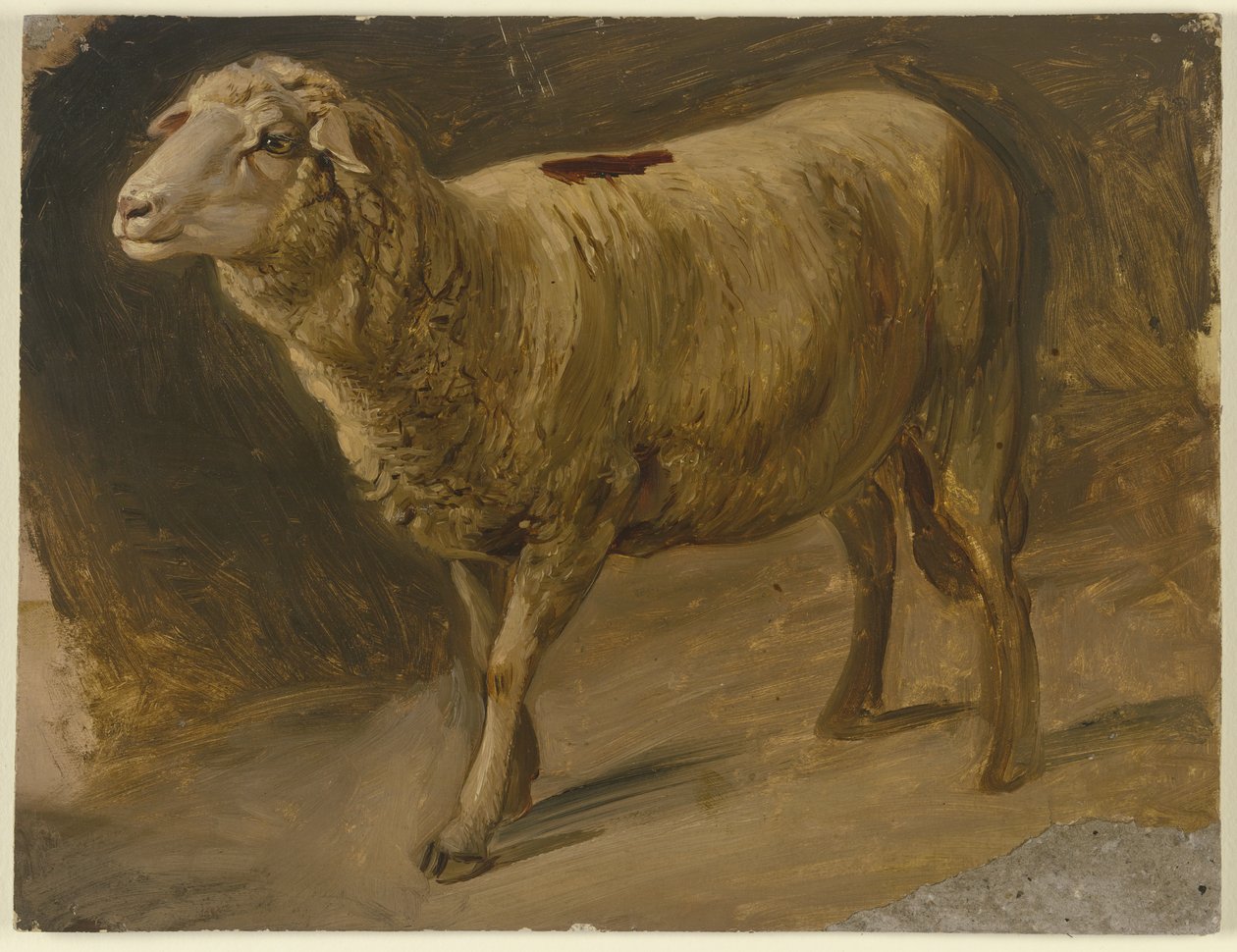 Ovejas de Jakob Becker