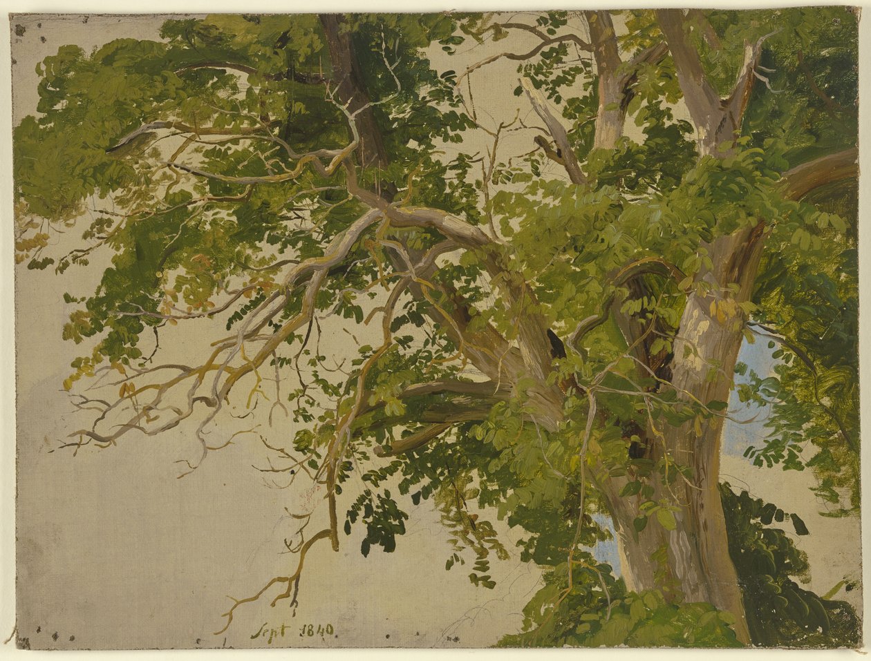Copa del árbol de Jakob Becker