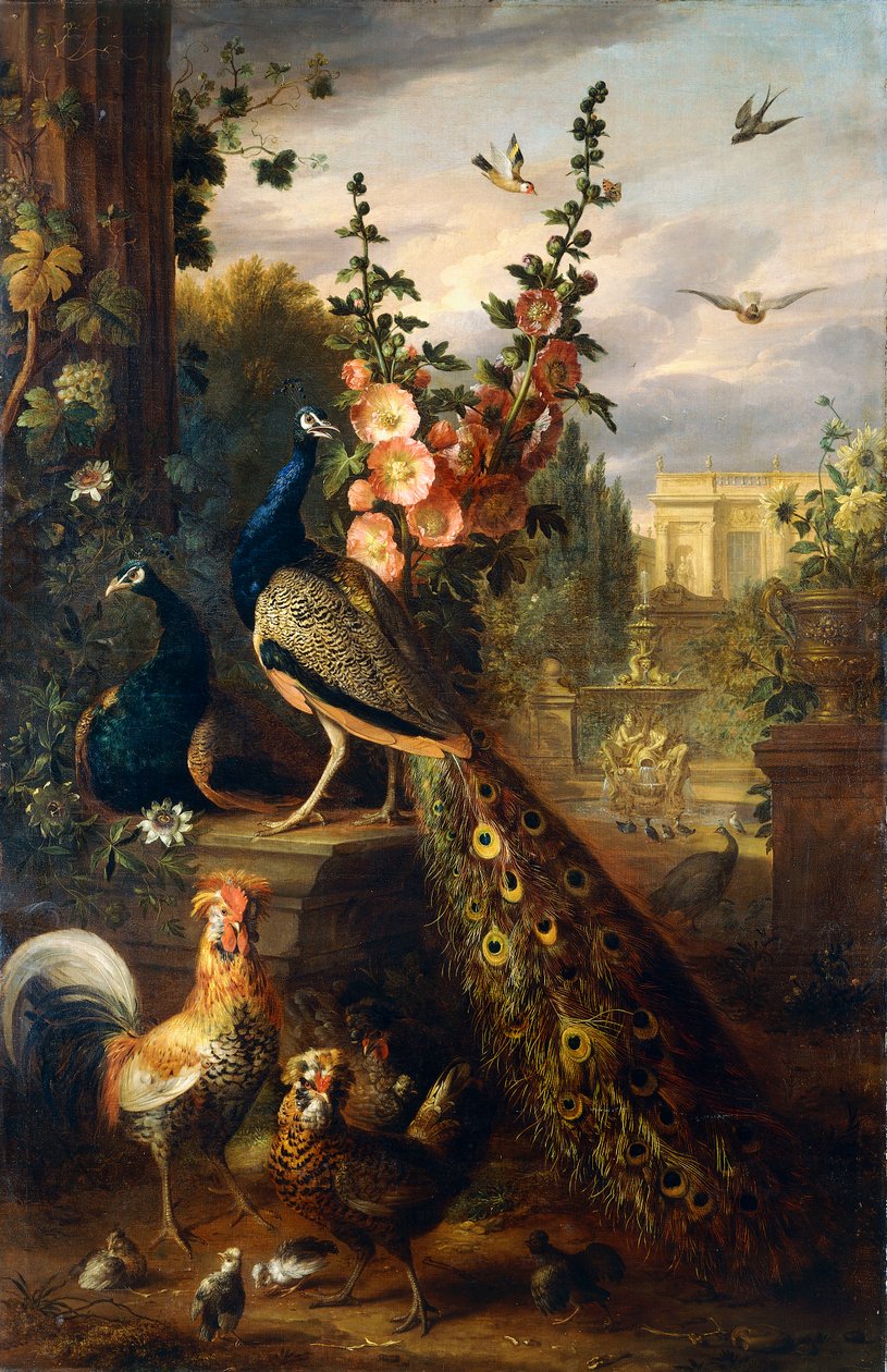 Dos pavos reales en un pedestal de piedra en un jardín de Jakob Bogdani or Bogdany