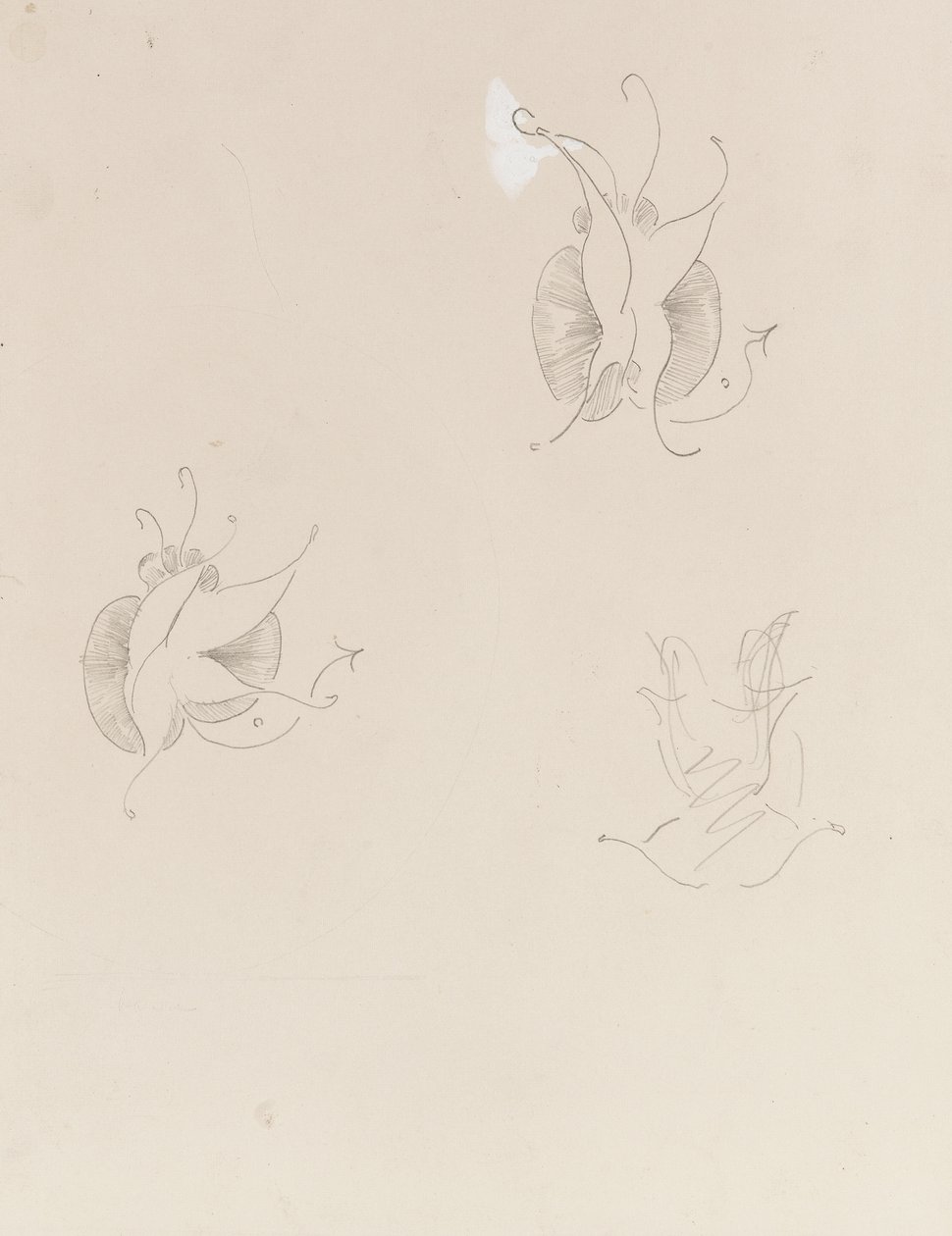 Dos mariposas de Whistler y un boceto destruido, c.1890 de James Abbott McNeill Whistler