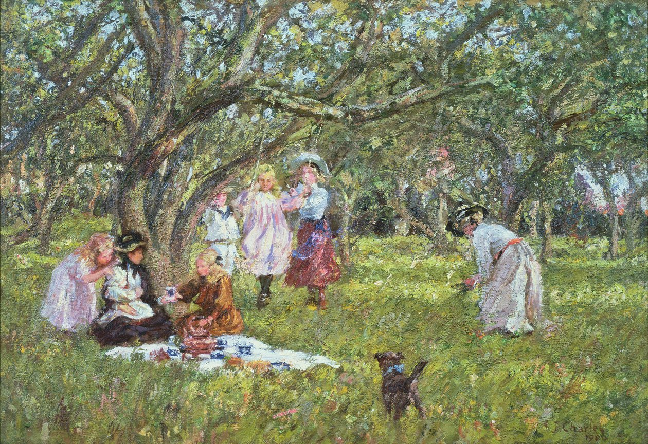 El Picnic de James Charles