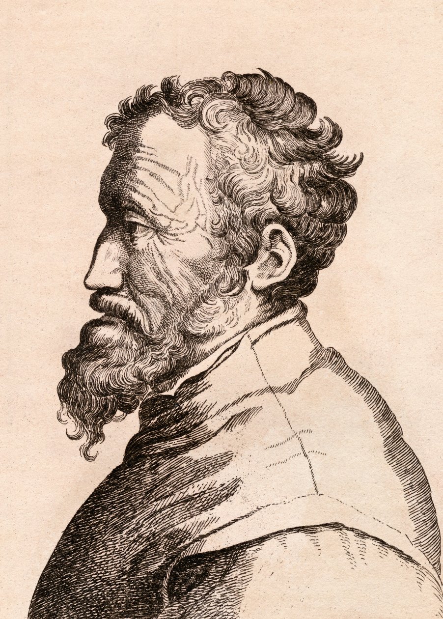 Miguel Ángel di Lodovico Buonarroti Simoni, ilustración de 