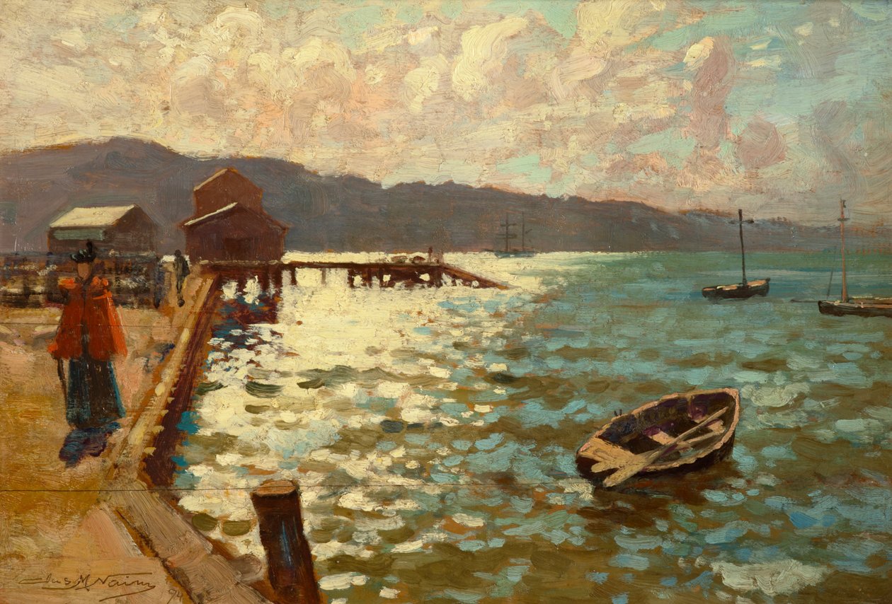 Puerto de Wellington de James McLachlan Nairn