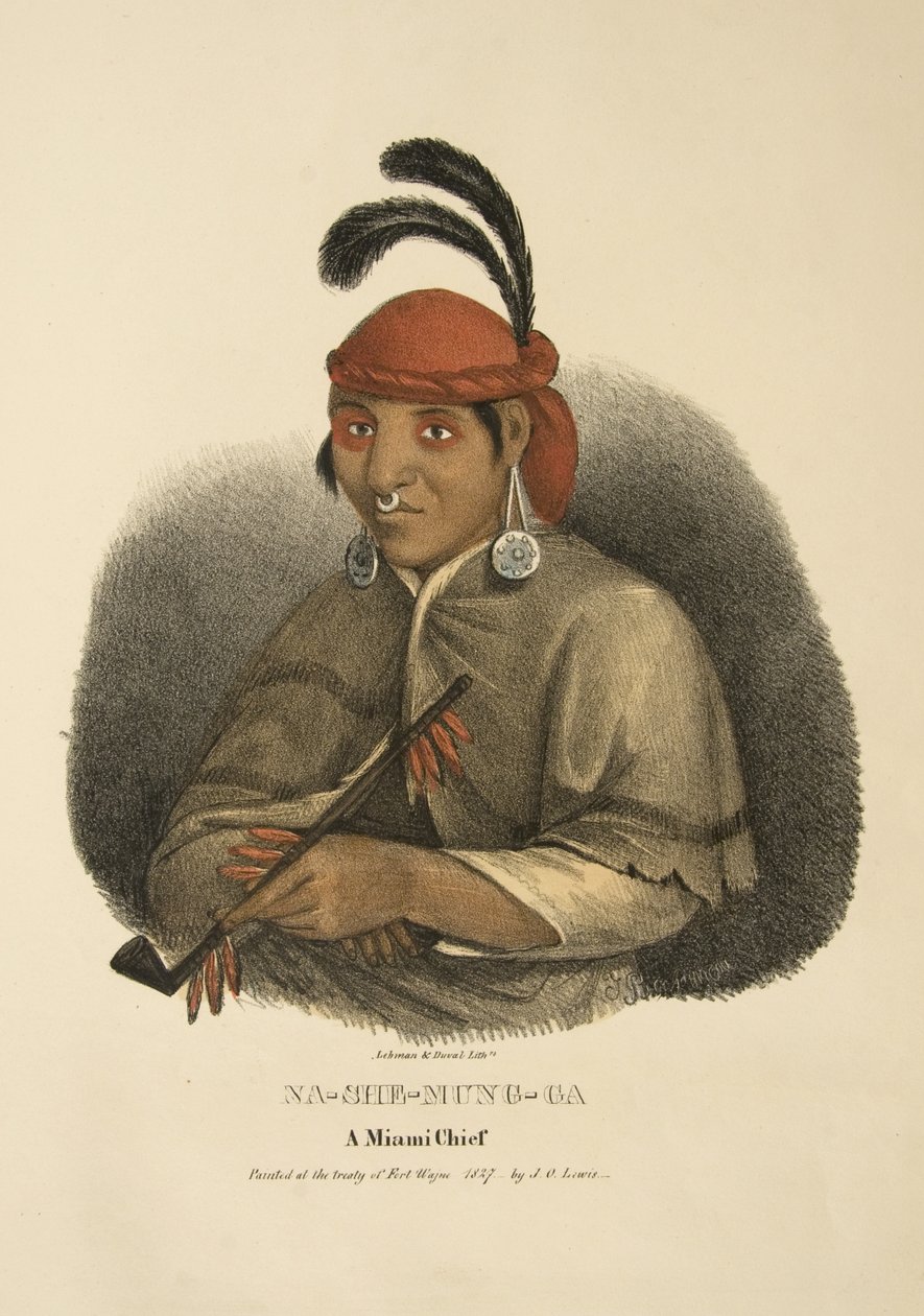 Na-she-mung-ga de James Otto Lewis