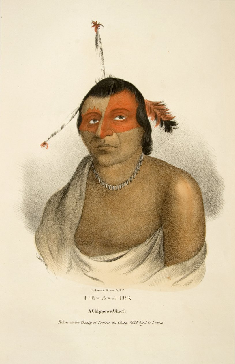 Pe-a-jick de James Otto Lewis