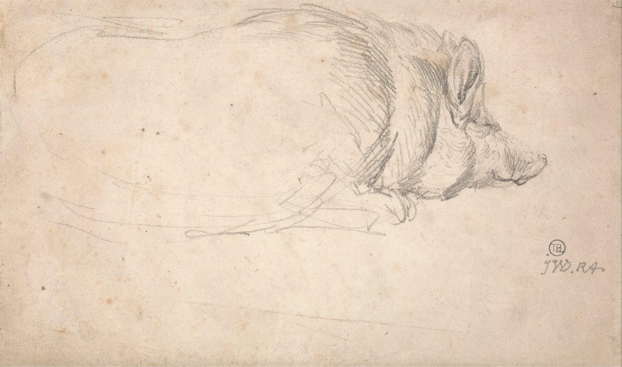 Un cerdo durmiendo de James Ward