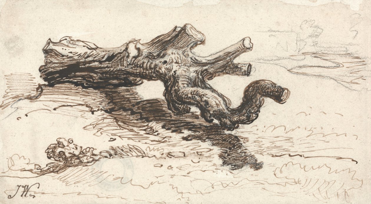 Un tronco de árbol en el suelo de James Ward