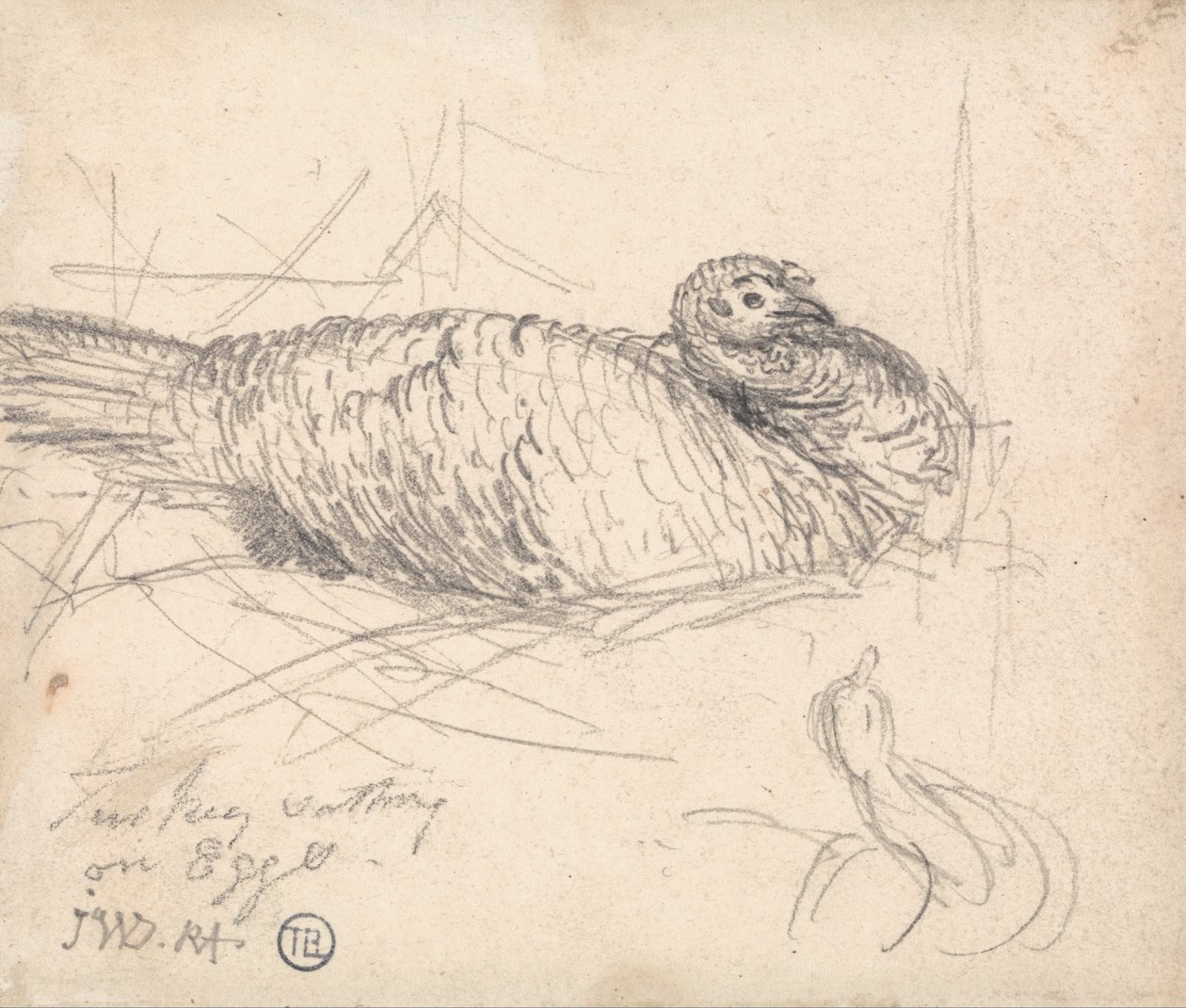 Un pavo sentado sobre huevos de James Ward