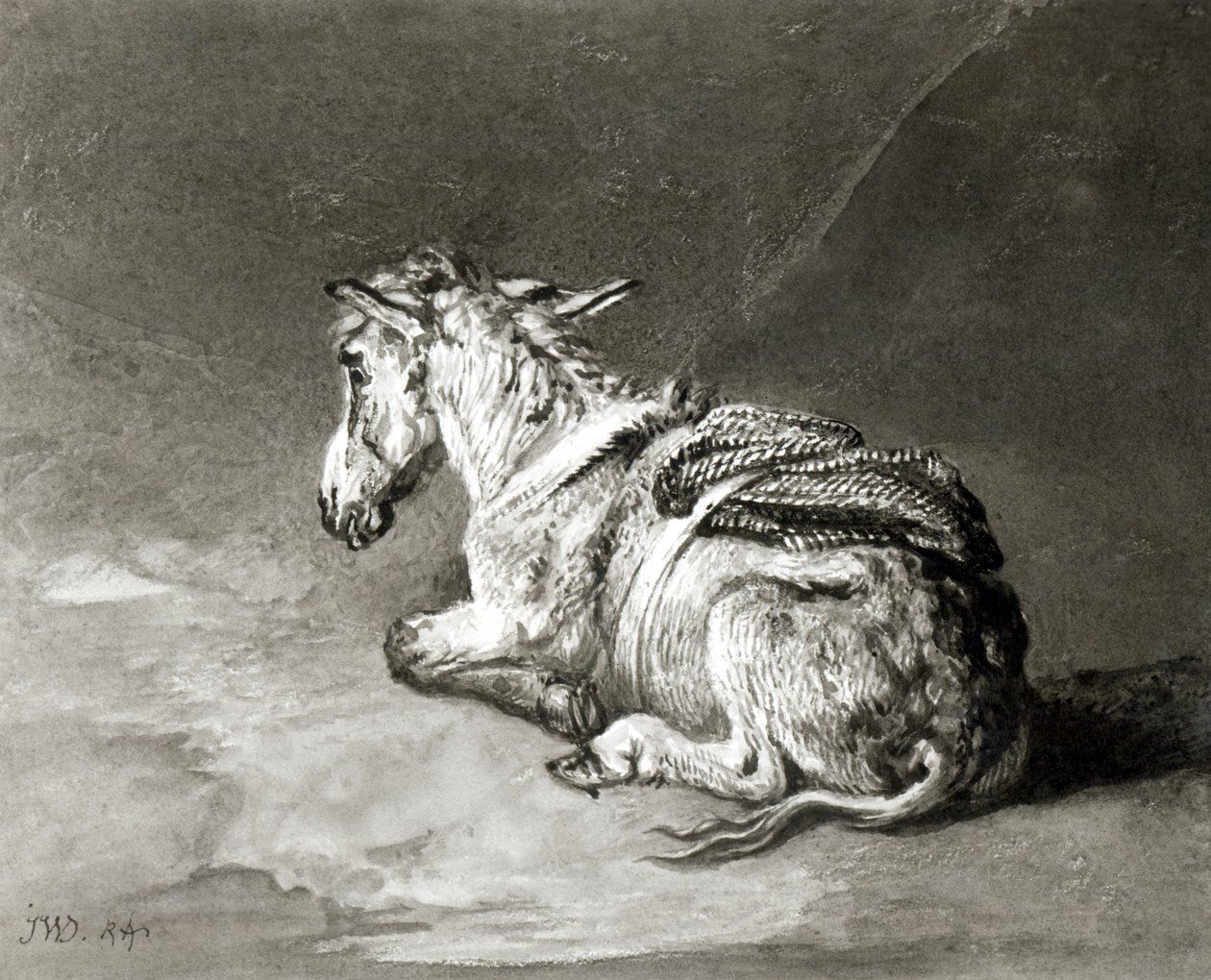 Burro descansando de James Ward