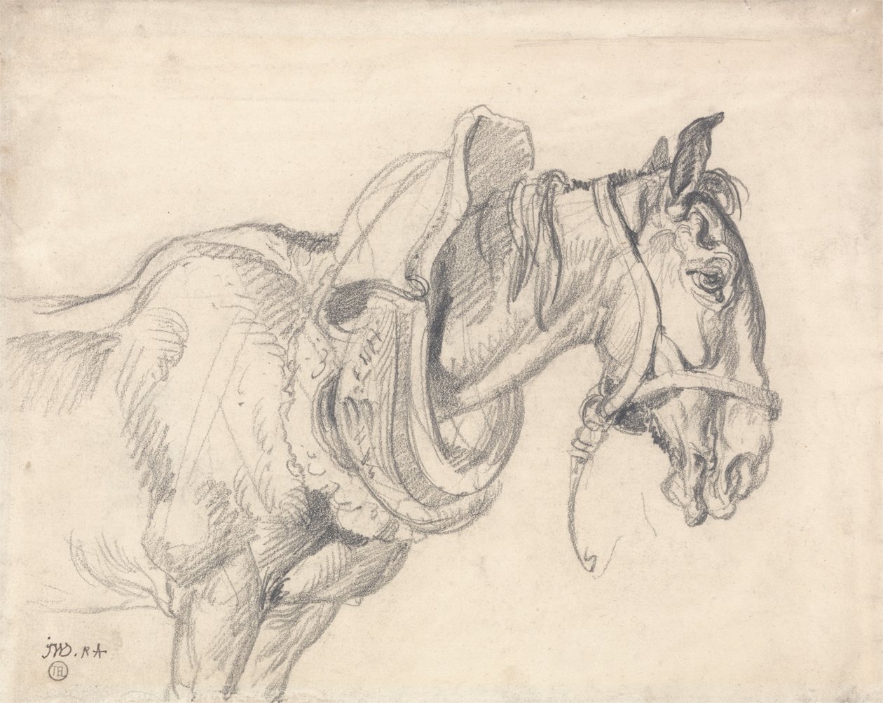 Cabeza y hombros de un caballo de tiro de James Ward