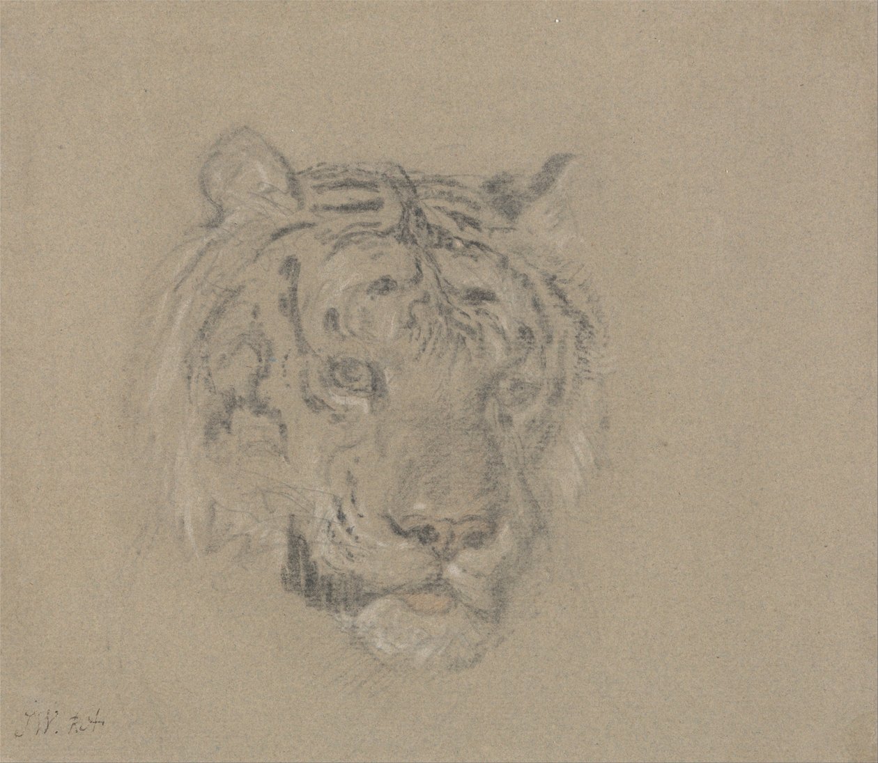 Cabeza de un tigre de James Ward
