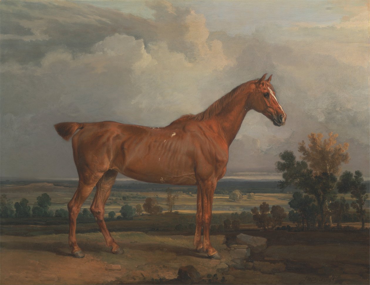 Cazador en un paisaje de James Ward
