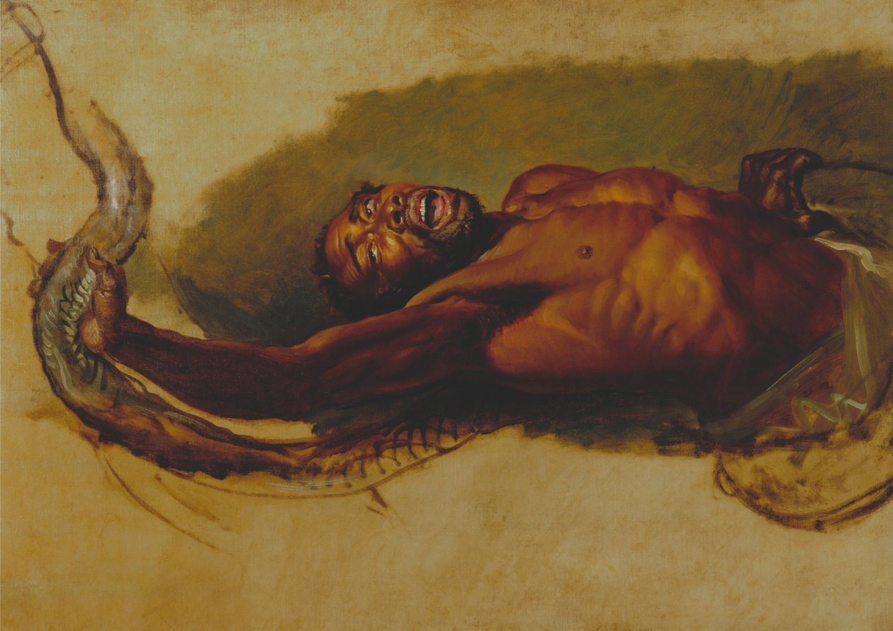 Hombre luchando con una boa constrictor, estudio para Liboya Serpent Seizing its Prey de James Ward