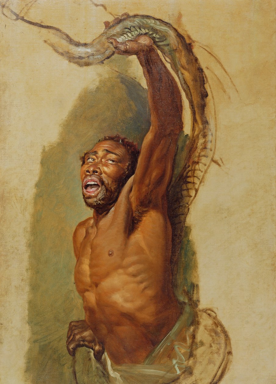 Hombre luchando con una boa constrictor, estudio para 