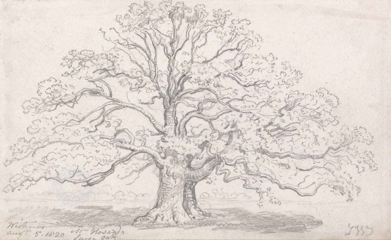 El gran roble del Sr. Howard, 5 de agosto de 1820 de James Ward