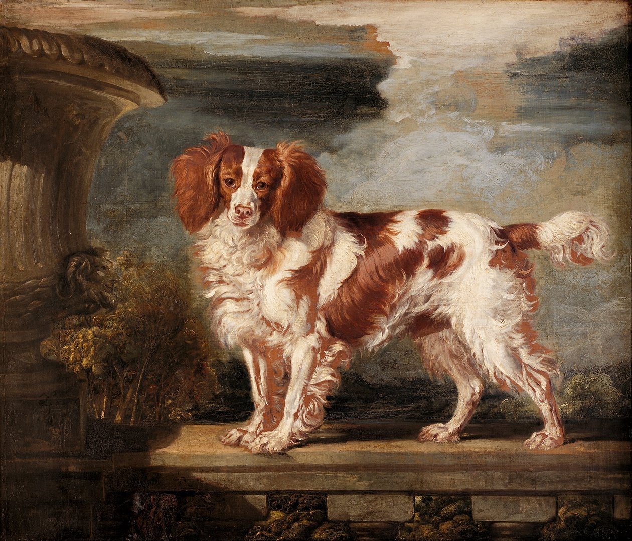 Retrato de Dash, un spaniel favorito, propiedad de Lady Frances Vane-Tempest de James Ward