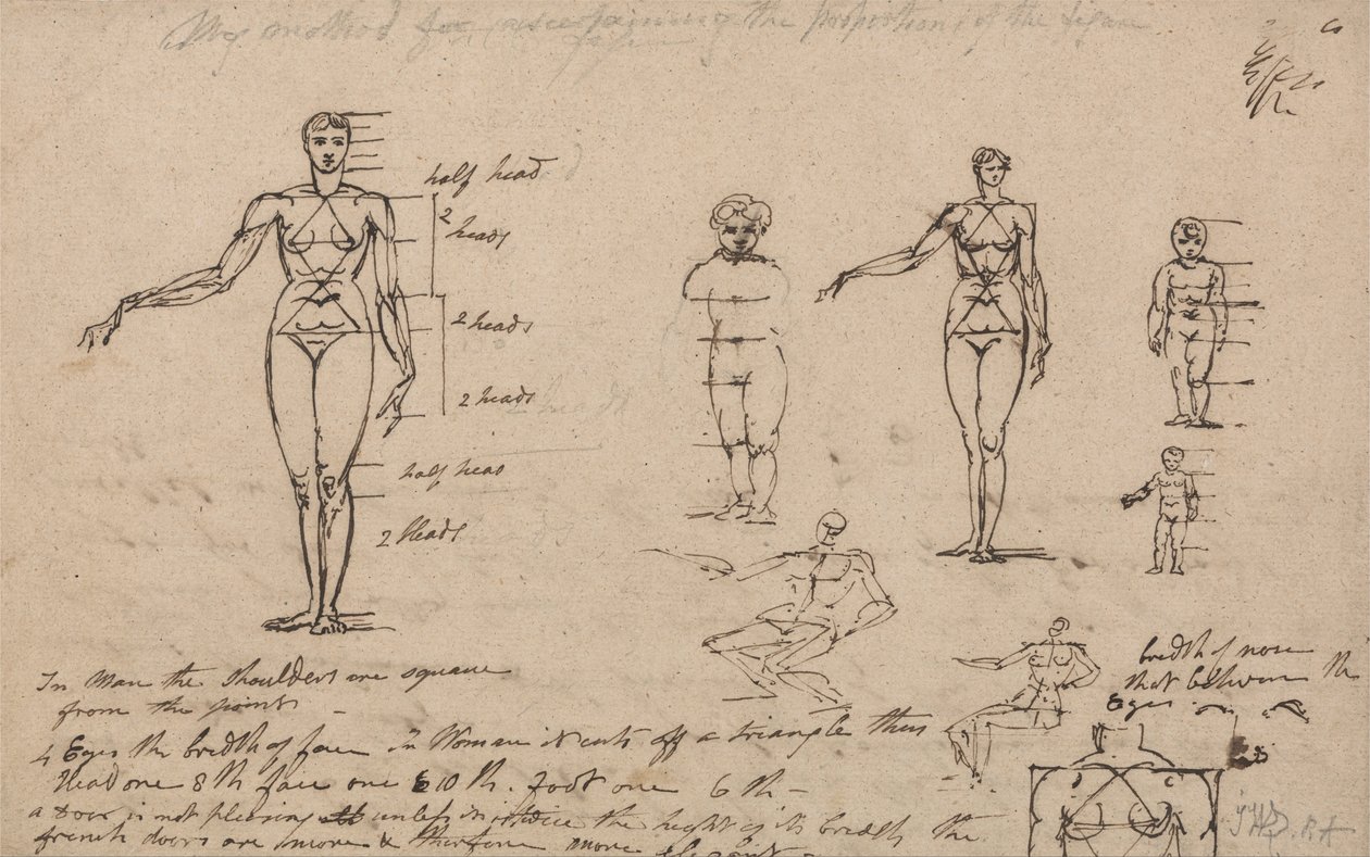 Estudios de Anatomía, Mediciones y Escritura de James Ward