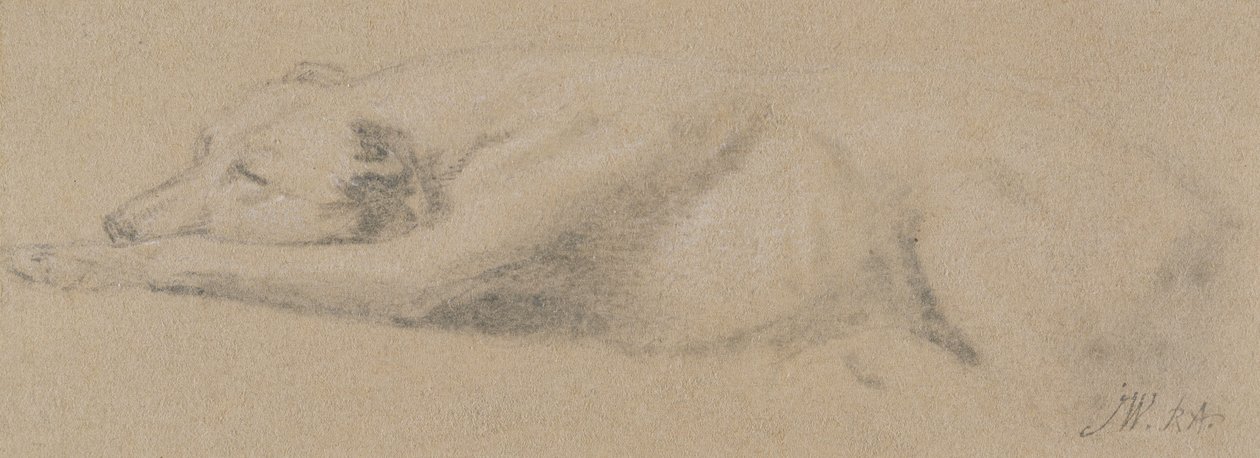 Estudio de un perro durmiendo de James Ward
