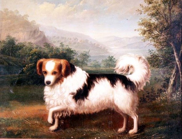 Una polilla Papillon en un paisaje montañoso de James (attr. to) Barenger