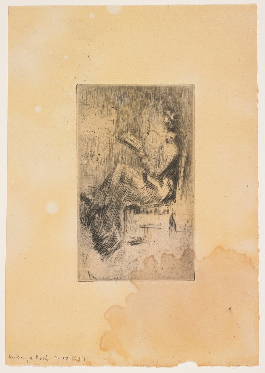 Ein Buch lesen de James Abbott McNeill Whistler