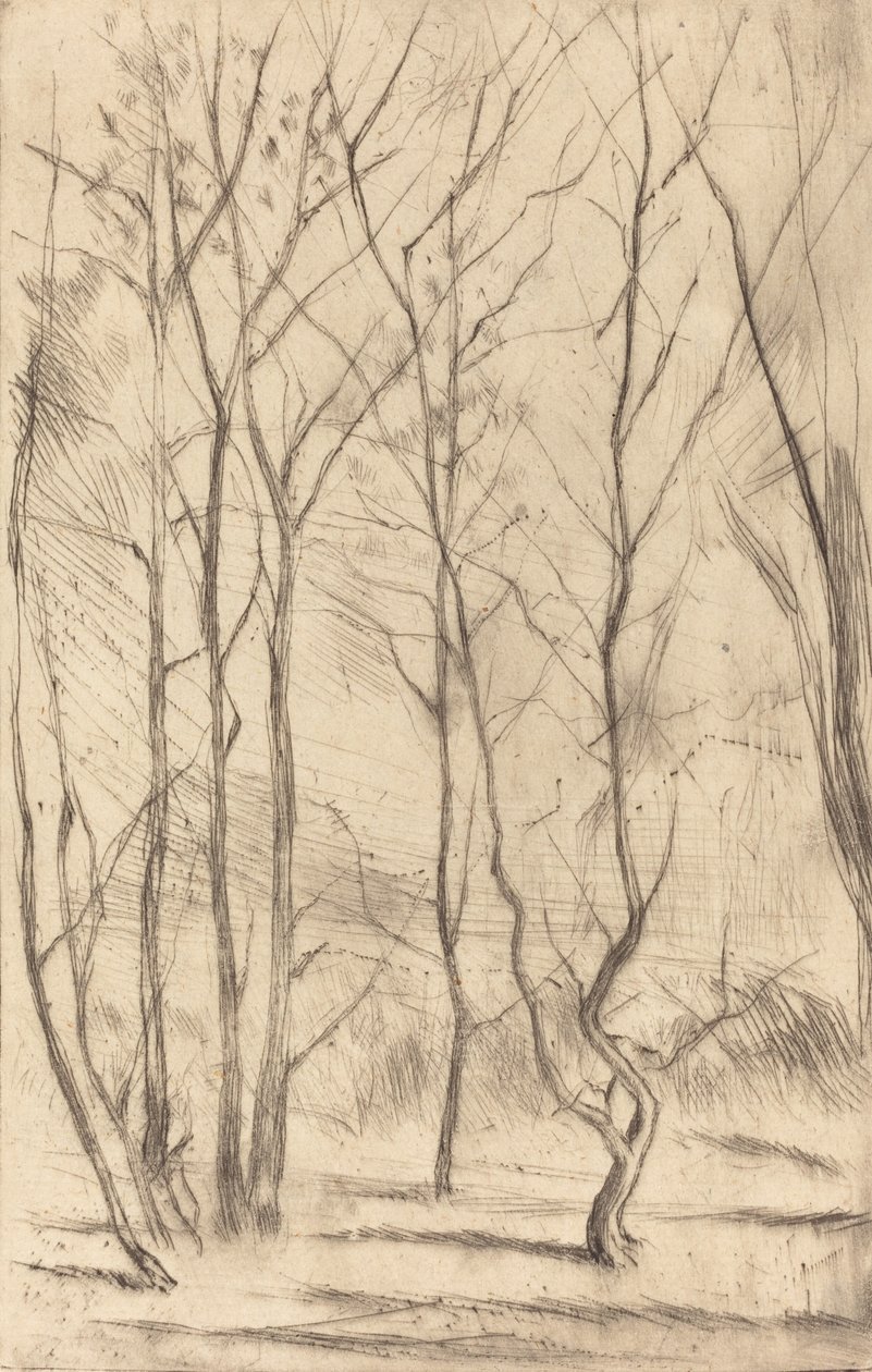 El bosque del dique, 1875 de James Abbott McNeill Whistler
