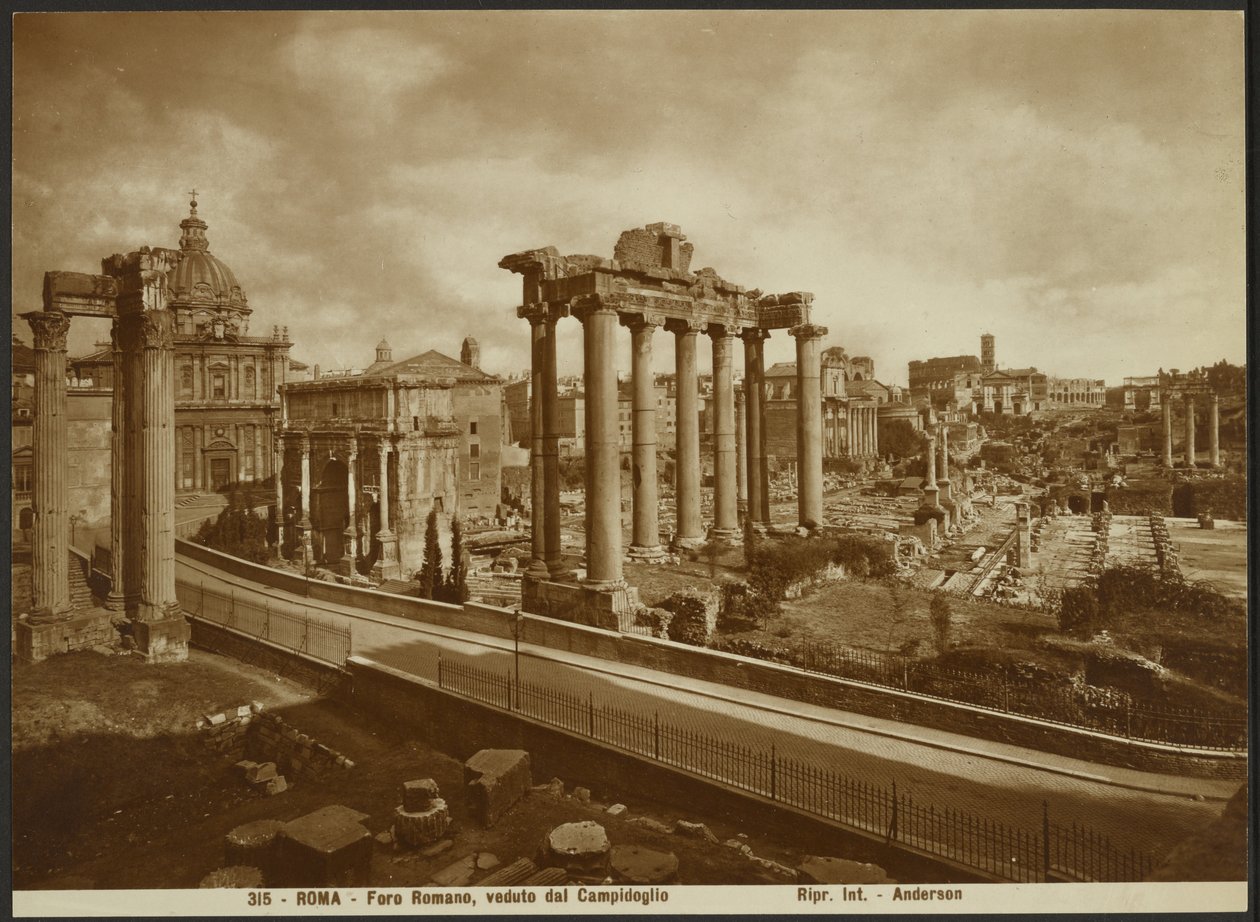 El Foro Romano, visto desde la Capital de James Anderson
